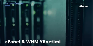 cPanel & WHM Sunucu Yönetimi